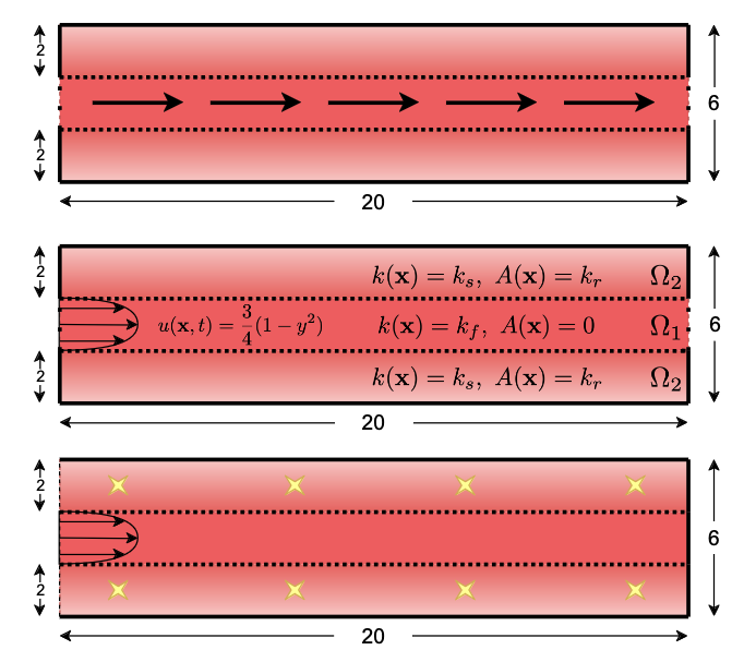 Metabolite Dynamics in the Brain